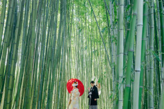 竹林公園の様子