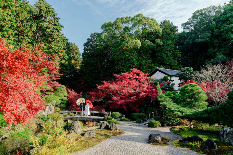 全ての季節で素敵な「金戒光明寺」