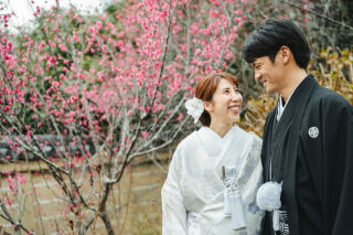 まだまだ梅前撮りはこれから？