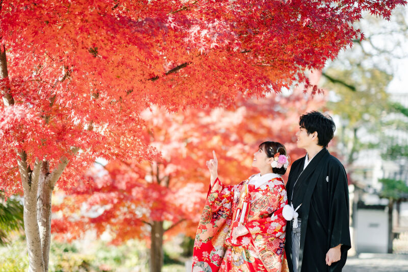 金戒光明寺の紅葉