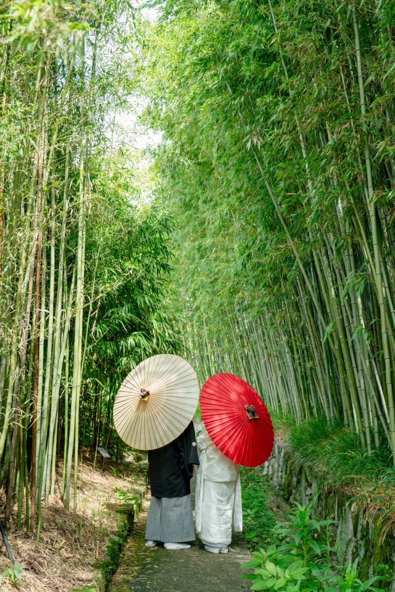 涼しいい感じの竹林で前撮り