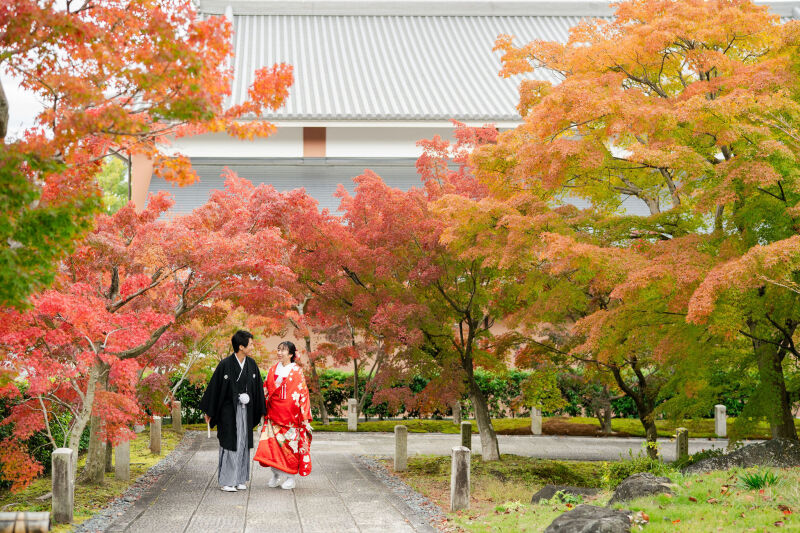 紅葉の智積院
