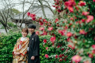 京都の寺院撮影