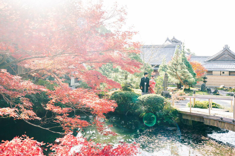 紅葉ショット