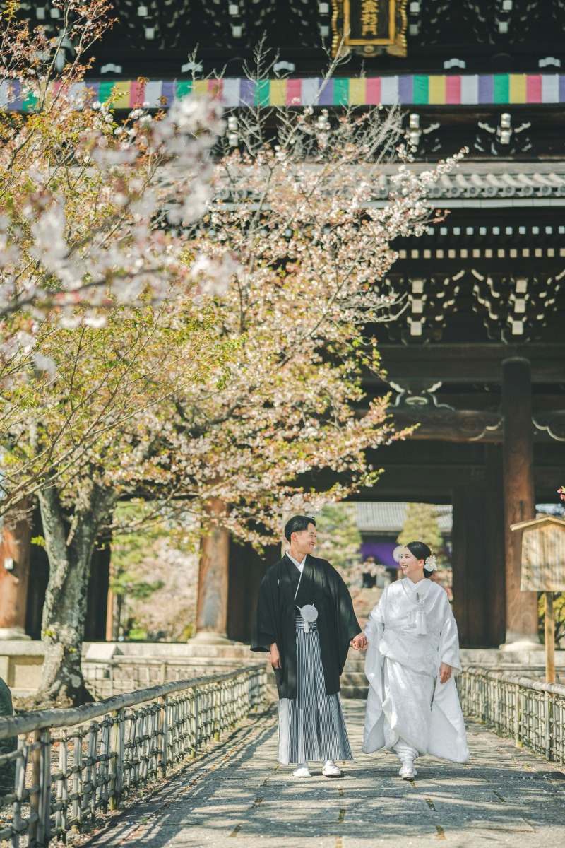 いつの季節もいい金戒光明寺