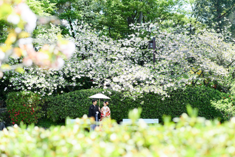 2018年4月のご予約状況について