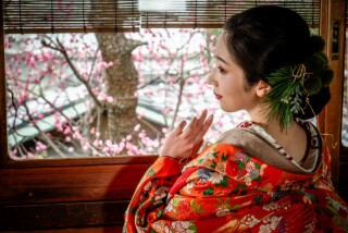 梅の季節、プレミアムプラン