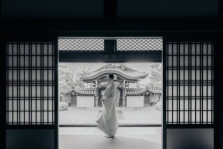 今年の梅は、3月撮影?