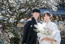 晴れやかな梅の季節