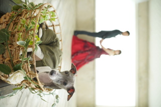 愛犬と一緒に叶えるウエディングフォト