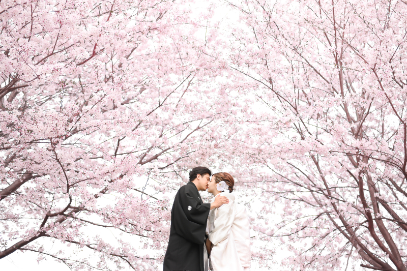 Today’s Photo