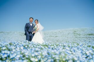 ネモフィラフォトウェディング♡