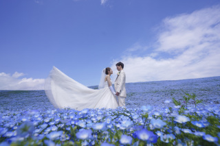 春の絶景撮影★国営ひたち海浜公園