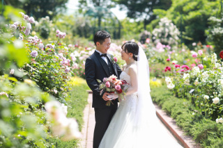 今が見頃!❁バラ撮影❁