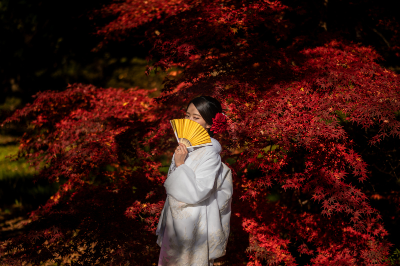 紅葉ロケーション