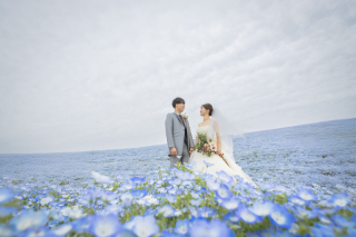 国営ひたち海浜公園(茨城)