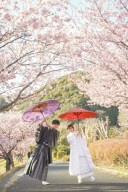 ★2月河津桜★絶賛予約受付中！