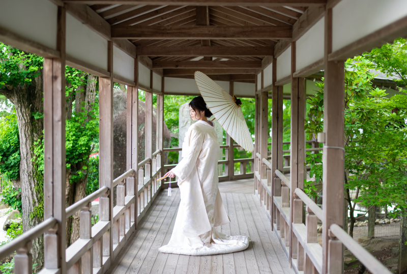 Today’s Photo