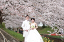 ★3月下旬★桜ロケーション撮影