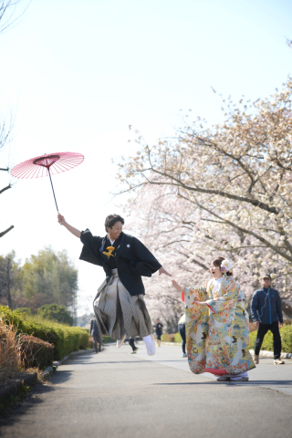 桜ロケーション