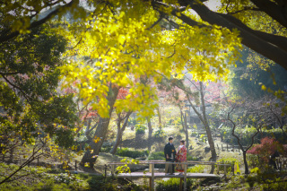 自然と調和する美しさ。三渓園で叶える和装ロケーションフォト