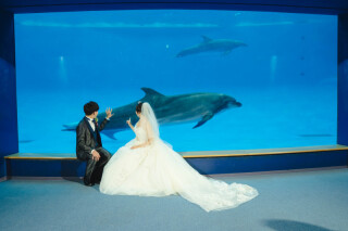 イルカと一緒に♡水族館で叶えた特別なロケーションフォト