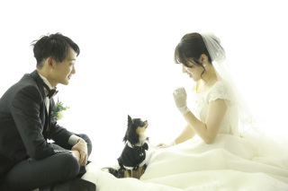 ご来館から撮影日までの流れ