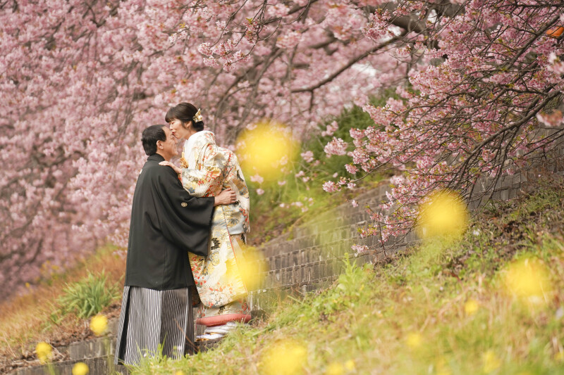★2月河津桜★予約受付スタート!!