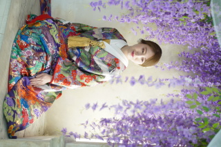 藤の花に包まれて…和装ソロショットで魅せるやさしさと気品