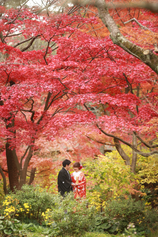 もうすぐ紅葉ロケのシーズン！