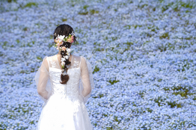 青の絶景★ネモフィラ撮影　残りわずか枠受付中
