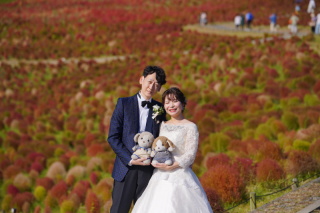 茨城の海浜公園【秋限定コキア撮影】