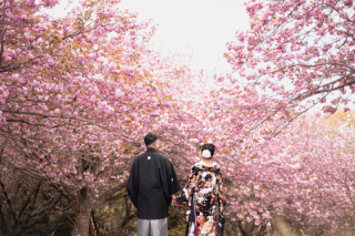 桜ロケーション