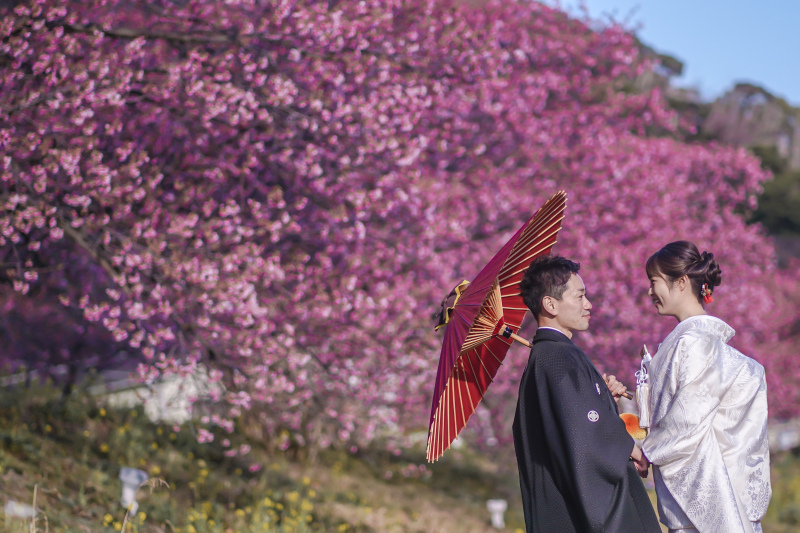 河津桜の撮影受付中!