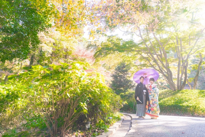 紅葉の撮影風景