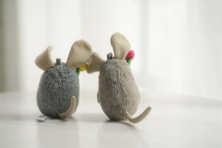 思い出の小物たち