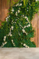 Momonaスタジオ紹介