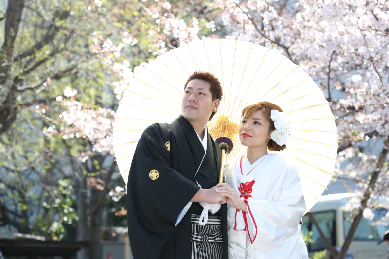 桜ロケーションご予約受付中!