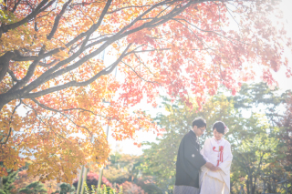 紅葉シーズンスタート！