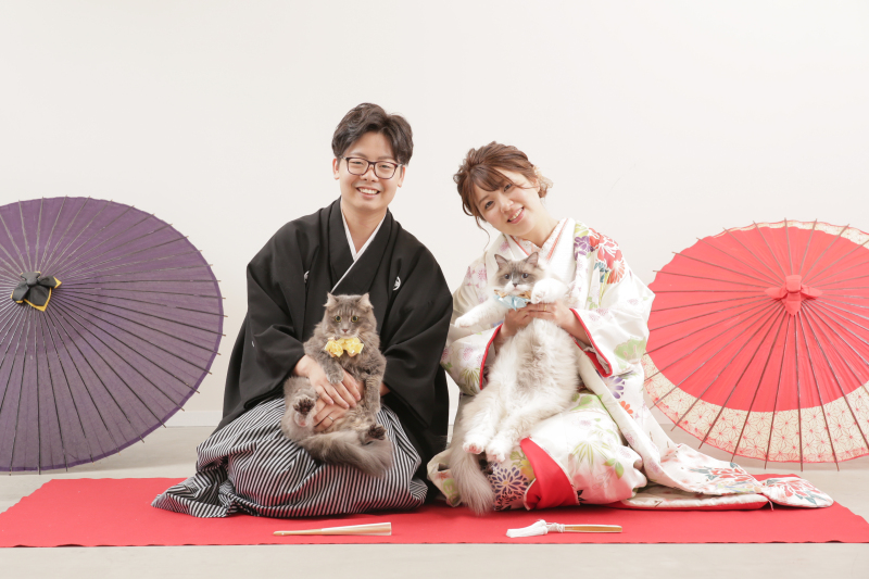 ねこちゃんとの撮影♪