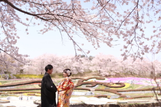 先取り☆桜ロケーションフォト先行予約会開始します!