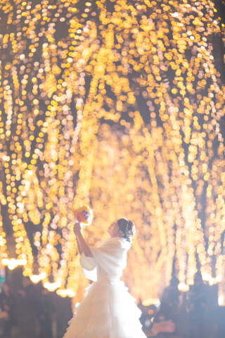 11月7日、8日はイルミネーションフェア!