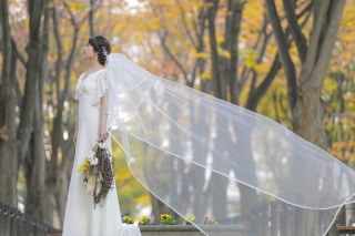 定禅寺通り、めっちゃキレイです!