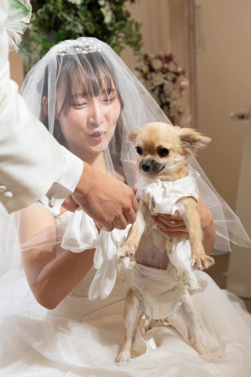 ワンちゃんと一緒に過ごす結婚式