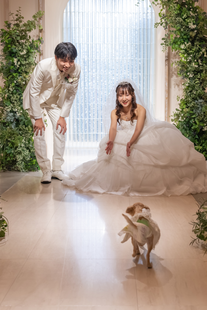 ワンちゃんと一緒に過ごす結婚式