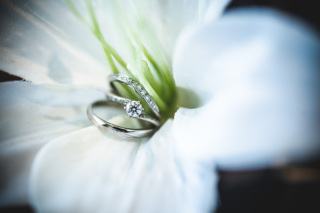 指名Photographer≪sen≫