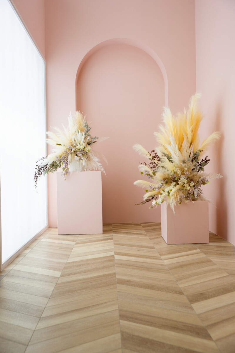 お待たせいたしました。フォトレイト掲載再開|新しくなった半田スタジオのご案内