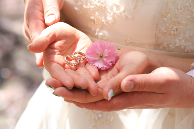 春がやってきます