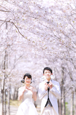 春の撮影でのご相談・ご見学承っています♪