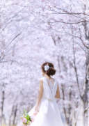 敷地内の桜並木は全開です！！